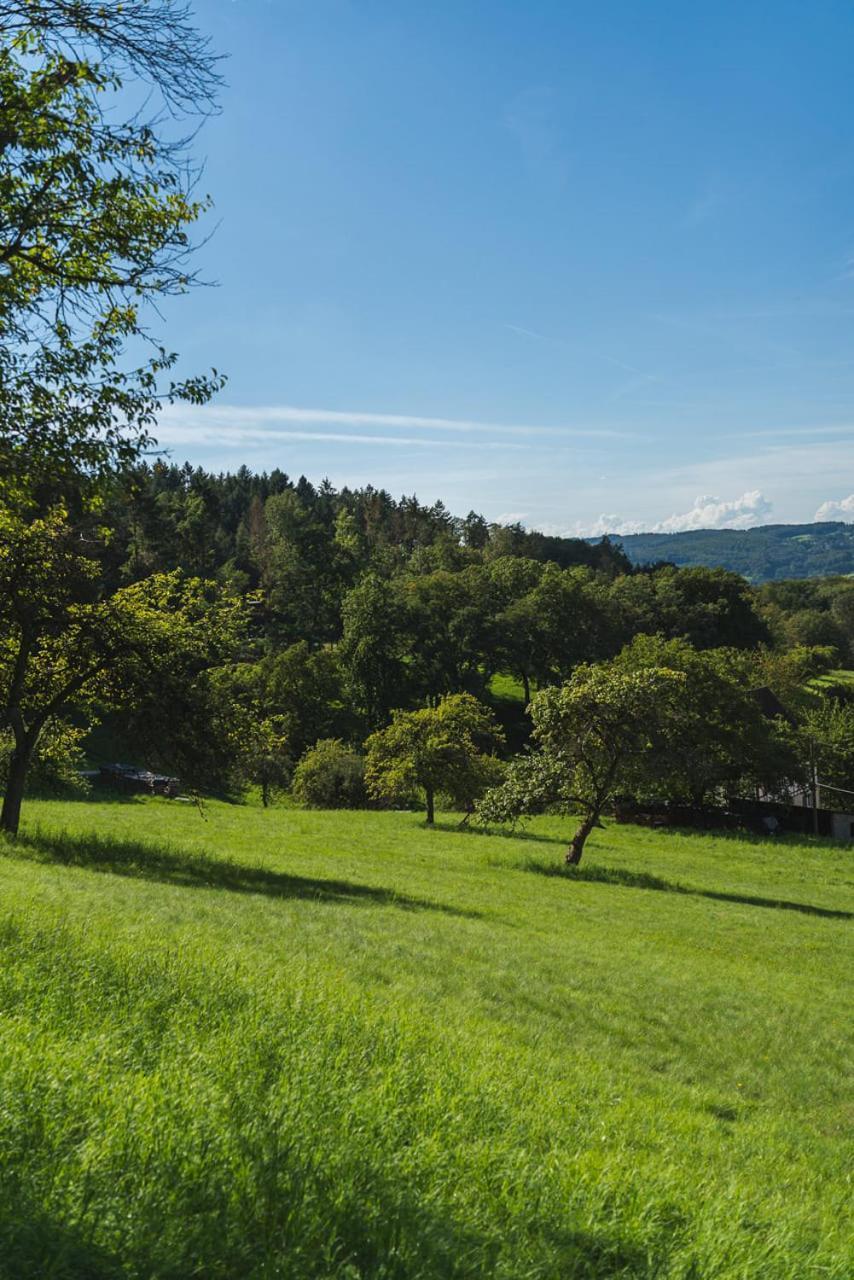 Gruenewaldhof In Rimbach Im Odenwald Appartement Buitenkant foto