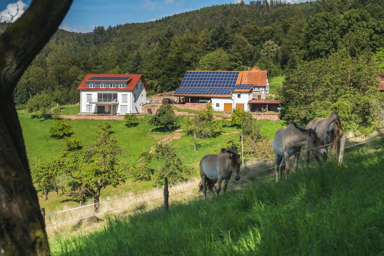 Gruenewaldhof In Rimbach Im Odenwald Appartement Buitenkant foto