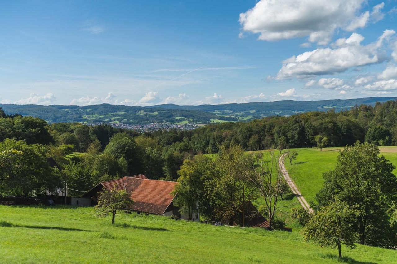 Gruenewaldhof In Rimbach Im Odenwald Appartement Buitenkant foto